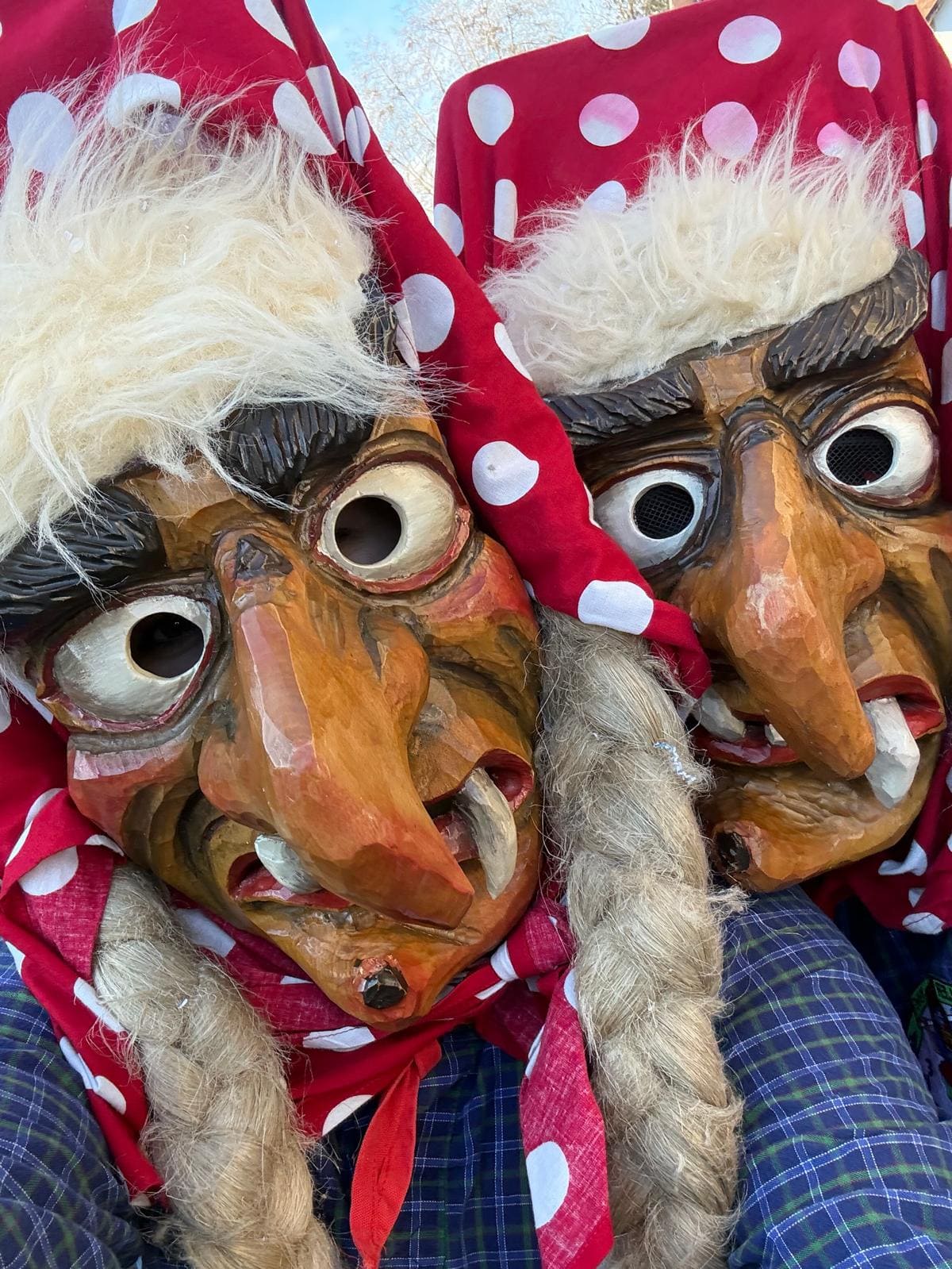 Rheinbischofsheim 2026 – Bild 9